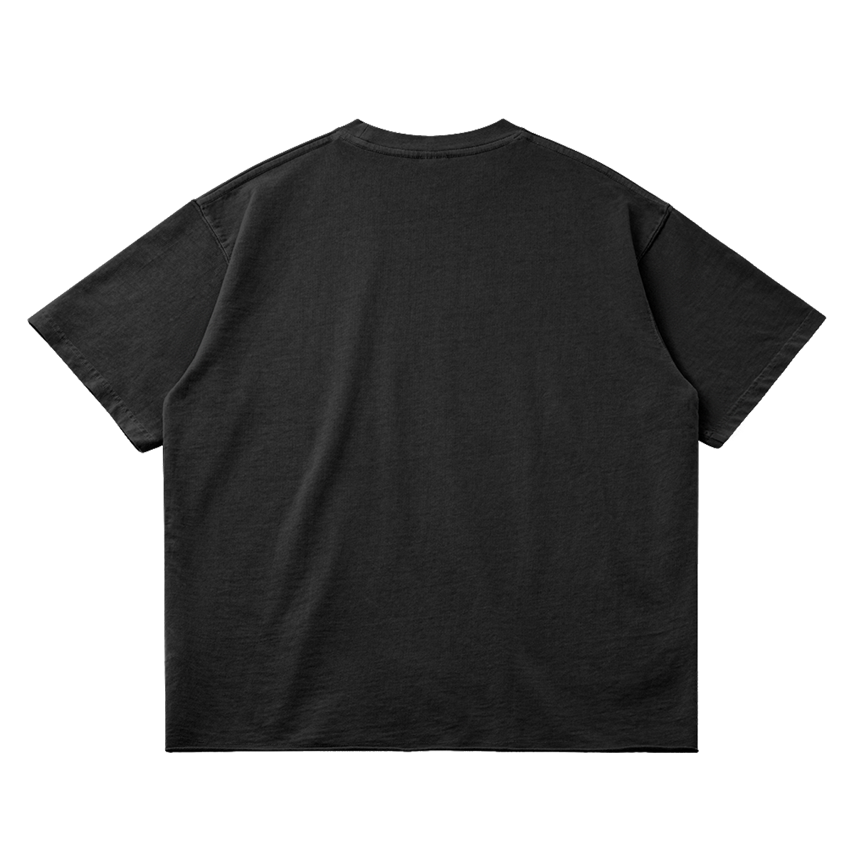 Ghosts Cant Dream Garment Dyed Streetwear Tee